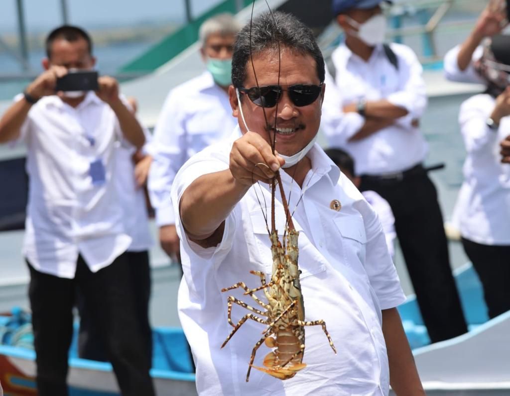 podiumnews.com-Permen KP 17/2021 Permudah Masyarakat Pembudidaya Lobster 